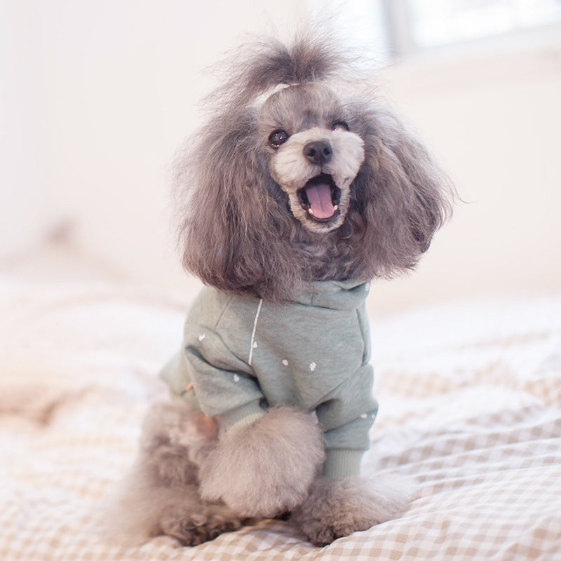 Pet clothing dog clothes